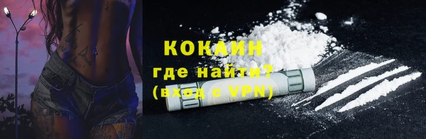 хмурый Верея