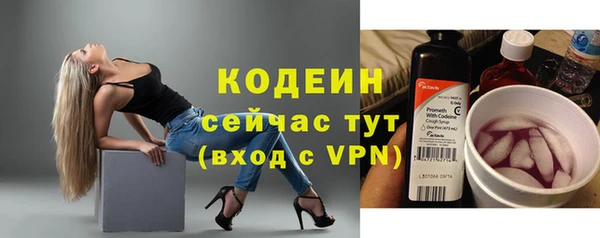 хмурый Верея