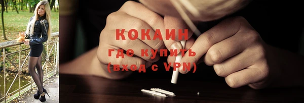 хмурый Верея
