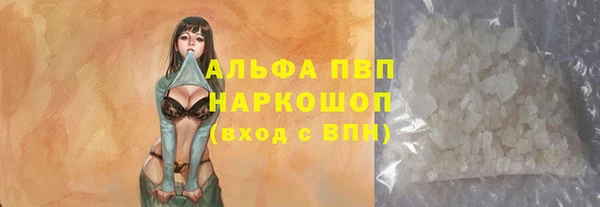 хмурый Верея
