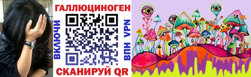 закладки Ливны Псилоцибиновые грибы Psilocybine cubensis