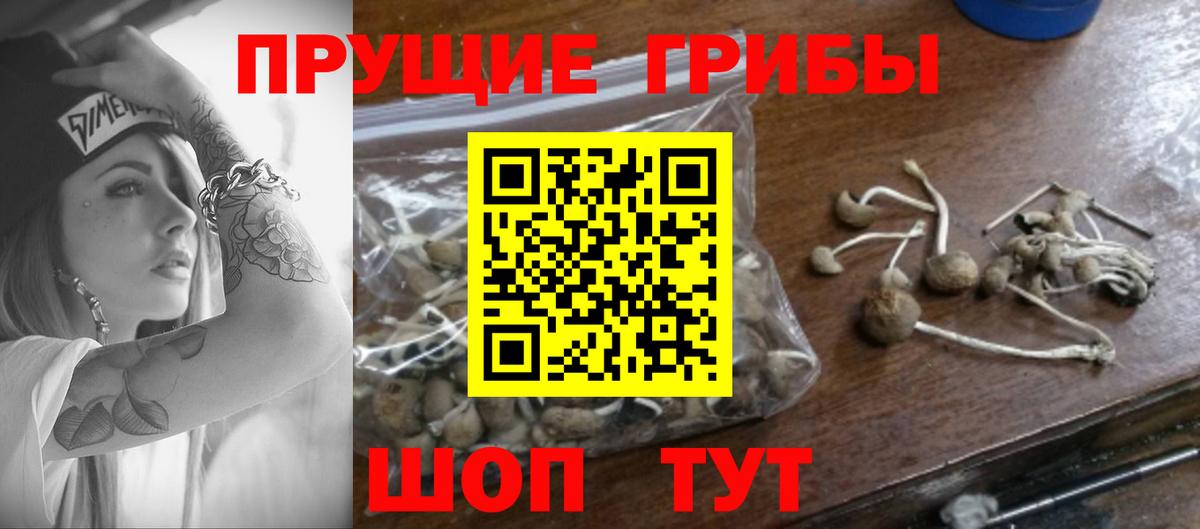 Галлюциногенные грибы прущие грибы  Вход с VPN  Ливны 
