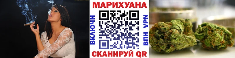 Конопля сатива  Ливны 